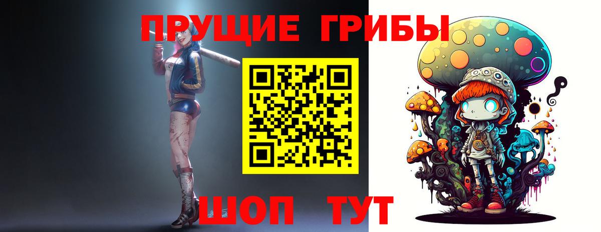 Галлюциногенные грибы мухоморы Волжский